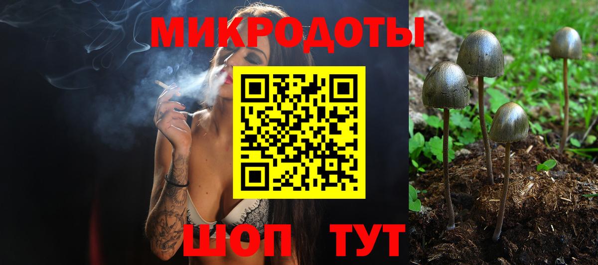 Галлюциногенные грибы Psilocybe Канаш
