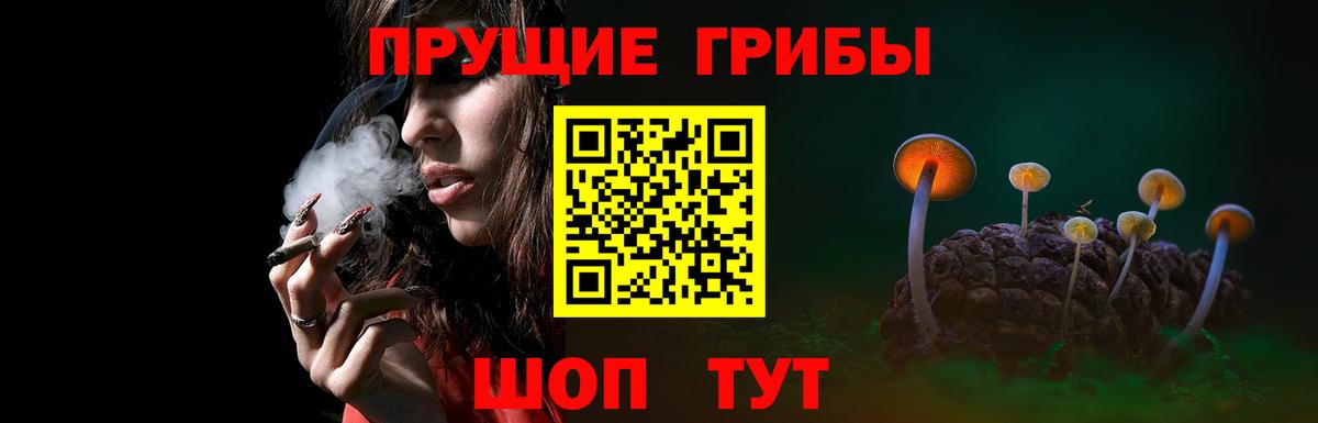Канаш  Галлюциногенные грибы мицелий  Вход с VPN  Псилоцибиновые грибы MAGIC MUSHROOMS 